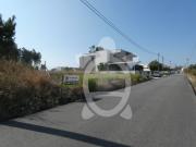 Terreno, Ançã, Cantanhede | BPI Expresso Imobiliário