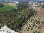 Terreno, Antuzede e Vil de Matos, Coimbra | BPI Expresso...