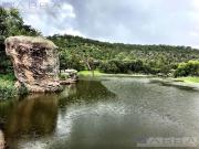 Terreno Aquiles Serdán