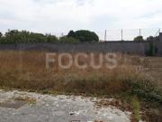 Terreno, Aradas, Aveiro | BPI Expresso Imobiliário