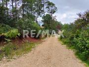 Terreno arbolado ideal para cabaña