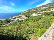 Terreno, Arco da Calheta, Calheta | BPI Expresso Imobiliário