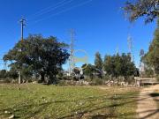 Terreno, Arez e Amieira Do Tejo, Nisa | BPI Expresso...