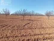 Terreno, Argamasilla de Alba