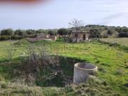 Terreno, Argamasilla de Calatrava