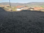 Terreno, Arraia Maeztu