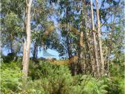 Terreno Arredores de Ovar