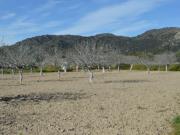 Terreno, Arroyomolinos