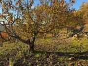 Terreno, Arroyomolinos de la Vera
