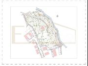 Terreno, Árvore, Vila do Conde | BPI Expresso Imobiliário