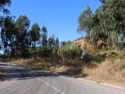 Terreno às portas da Cidade de Pombal