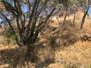 Terreno ascendente en venta en BosqueEsmeralda....