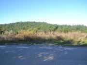 Terreno, Assafarge e Antanhol