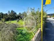 Terreno, Assafarge e Antanhol, Coimbra | BPI Expresso...