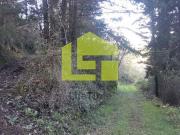 Terreno, Assafarge e Antanhol, Coimbra | BPI Expresso...