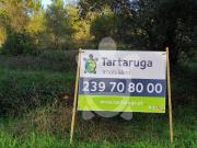 Terreno, Assafarge e Antanhol, Coimbra | BPI Expresso...