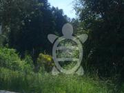 Terreno, Assafarge e Antanhol, Coimbra | BPI Expresso...