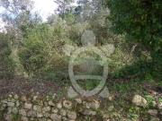 Terreno, Assafarge e Antanhol, Coimbra | BPI Expresso...