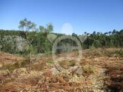 Terreno, Assafarge e Antanhol, Coimbra | BPI Expresso...