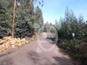 Terreno, Assafarge e Antanhol, Coimbra | BPI Expresso...