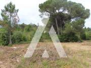 Terreno, Assafarge e Antanhol, Coimbra | BPI Expresso...