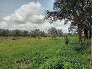 Terreno, Atalaia e Alto Estanqueiro Jardia, Montijo |...