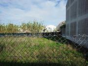 Terreno, Atouguia Da Baleia, Peniche | BPI Expresso...