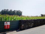 Terreno, Avanca, Estarreja | BPI Expresso Imobiliário