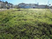 Terreno Avelãs de Caminho