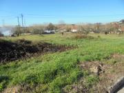 Terreno Avelãs de Caminho