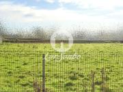 Terreno, Aver O Mar, Amorim e Terroso, Póvoa de Varzim |...