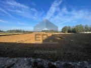 Terreno, Aver o Mar Amorim Terroso