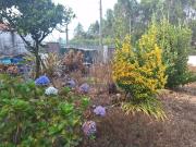 Terreno, Bagunte, Ferreiró, Outeiro Maior e Parada, Vila...