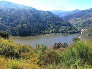 Terreno / Baião, Ancede e Ribadouro