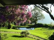 Terreno Bairro Planalto