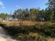 Terreno, Bajouca, Leiria | BPI Expresso Imobiliário