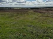 Terreno, Baleizão, Beja | BPI Expresso Imobiliário