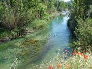 Terreno, Balsa de Ves