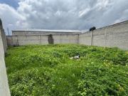 TERRENO BARDEADO RENTA TERRENO BARDEADO RENTA