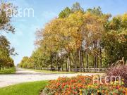Terreno Barrio Fincas de San Vicente