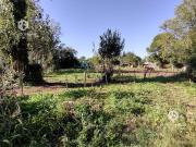 Terreno Barrio Parque