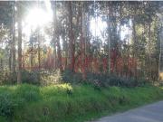 Terreno, Barrô e Aguada de Baixo, Águeda | BPI Expresso...