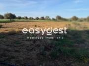 Terreno, Beja Salvador e Santa Maria Da Feira, Beja |...