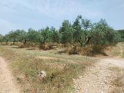 Terreno, Bellcaire d&apos Empordá