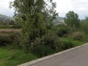 Terreno, Benicasim/Benicàssim