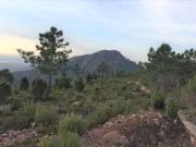 Terreno, Benicasim/Benicàssim