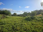 Terreno, Benquerenças, Castelo Branco | BPI Expresso...