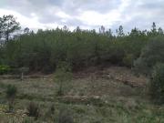 Terreno, Benquerenças, Castelo Branco | BPI Expresso...