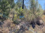 Terreno, Benquerenças, Castelo Branco | BPI Expresso...