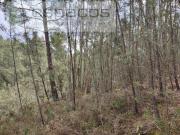 Terreno, Benquerenças, Castelo Branco | BPI Expresso...